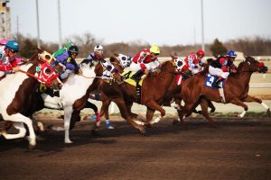 Professional Horse Racing Tips India: Pro Tips to Win in India (2026)