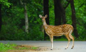 रियल कैश गेम in Nagpur: Complete 2027 Guide for Indian Players